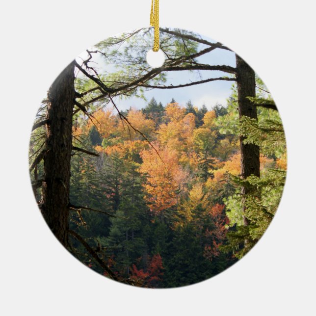 Rond En Céramique Ornement du New Hampshire 7729 (Dos)