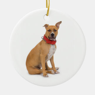 Rond En Céramique Ornement du Staffordshire Terrier américain