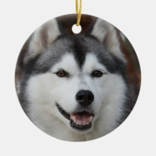 Rond En Céramique Ornement enroué de chien