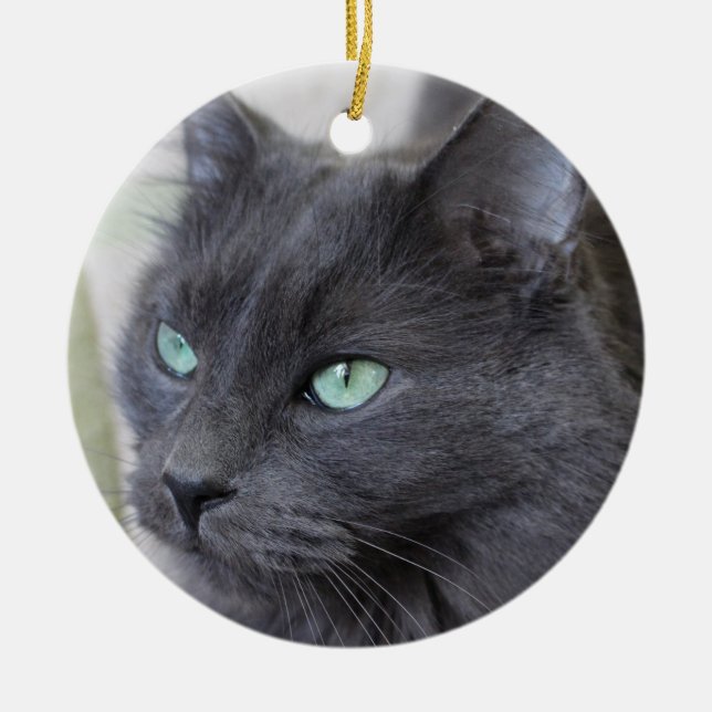 Rond En Céramique Ornement gris de chat (Devant)