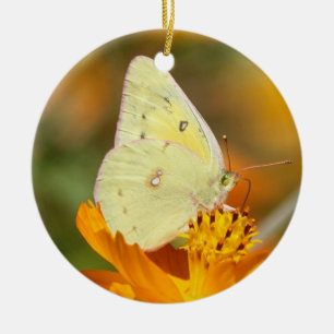 Rond En Céramique Ornement jaune de papillon