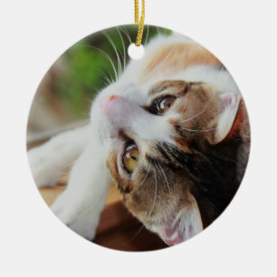 Rond En Céramique Ornement mignon de Noël de chaton de calicot