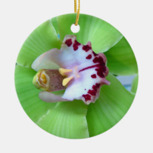 Rond En Céramique Ornement orchidée verte