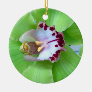 Rond En Céramique Ornement orchidée verte