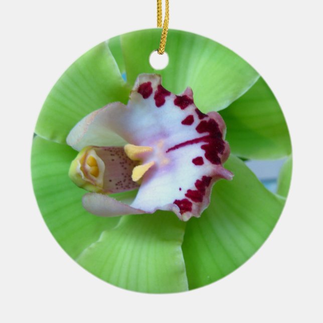 Rond En Céramique Ornement orchidée verte (Devant)