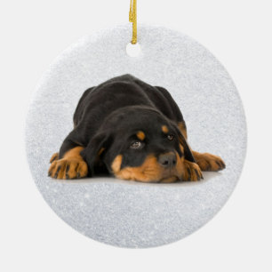 Rond En Céramique Ornement Rottweiler