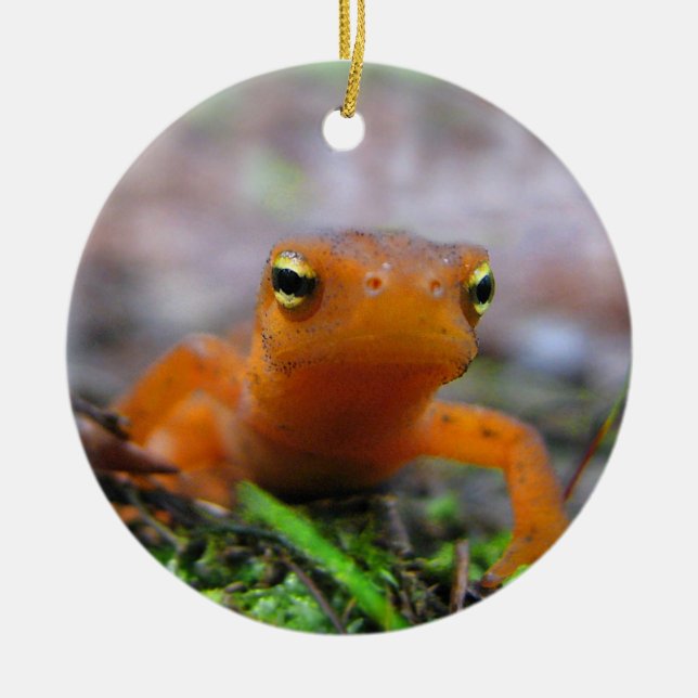 Rond En Céramique Ornement rouge de Noël d'Eft (Devant)
