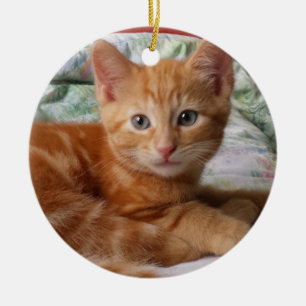 Rond En Céramique Ornement tigré orange de chaton