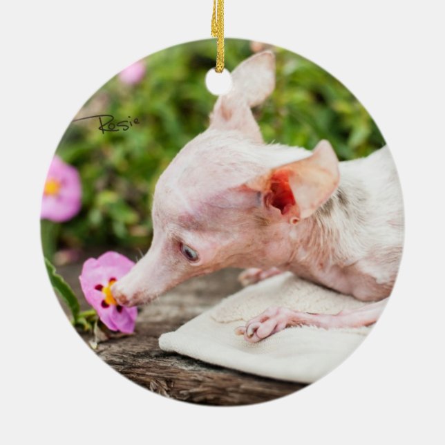 Rond En Céramique Tout ornement de photo de Rosie (Dos)