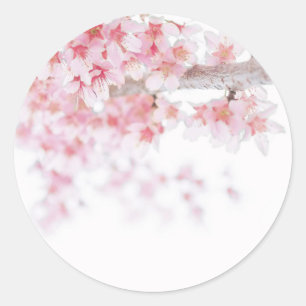 ROND ENVELOPE SEAL STICKER : CHERRY BLOSSOM