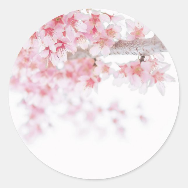 ROND ENVELOPE SEAL STICKER : CHERRY BLOSSOM (Devant)