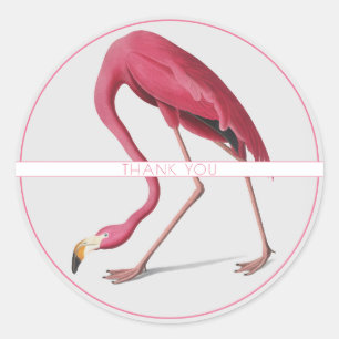 Rond Flamant rose ROSE AUTOUR NOM PERSONNALISÉ STICKER