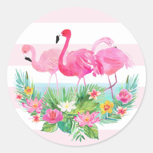 Rond Flamant rose tropical Aquarelle Pink Faver Sticker (Devant)