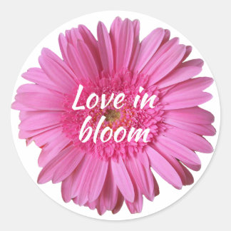 Rond Gerber rose marguerite avec sticker texte
