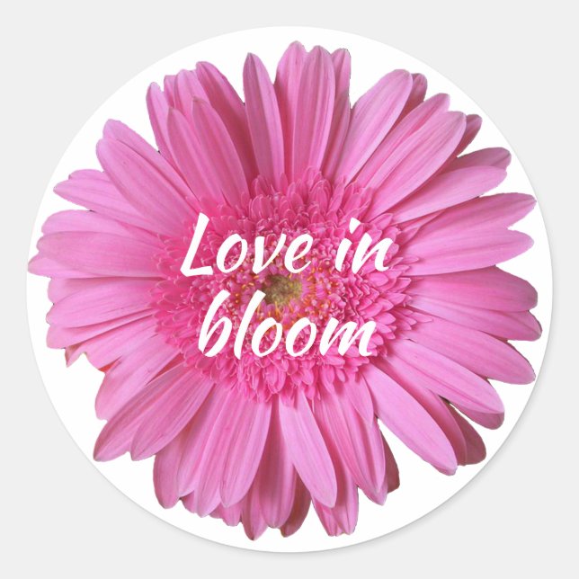 Rond Gerber rose marguerite avec sticker texte (Devant)