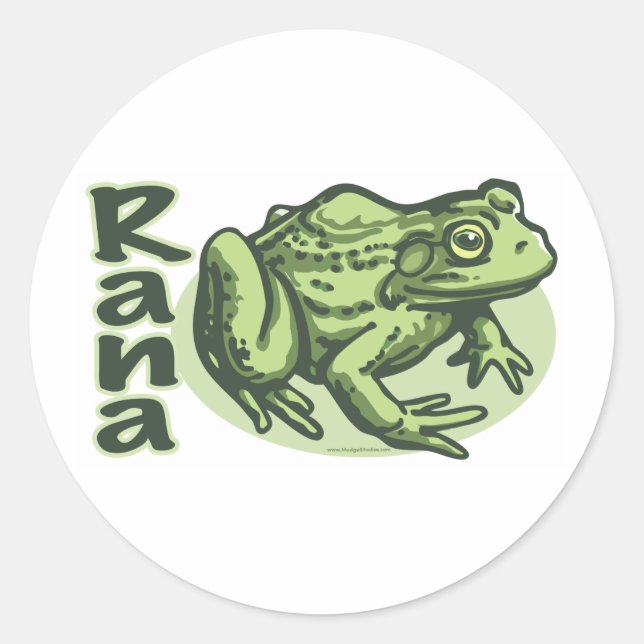 Rond Grenouille italienne - Sticker Rana (Devant)