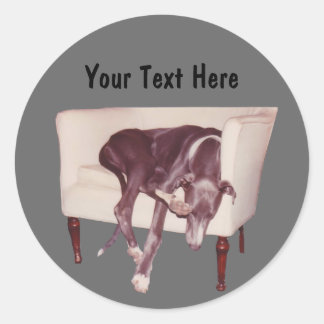 Rond Gris Dormir Dans Chaise Drôle Sticker Chien