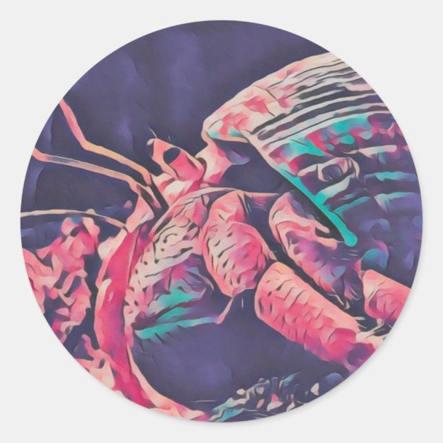 Rond Hermit Crab Sticker  (Devant)