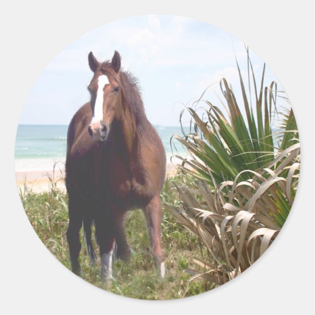 Rond Horse Sticker Beach (Devant)