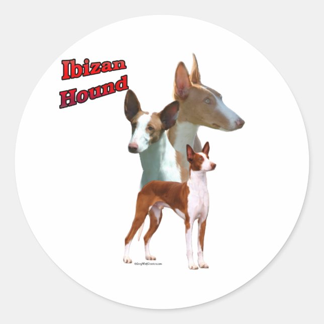 Rond Ibizan Hound Trio 2 - Sticker (Devant)