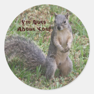 Rond Je suis Nuts à propos de vous Sticker