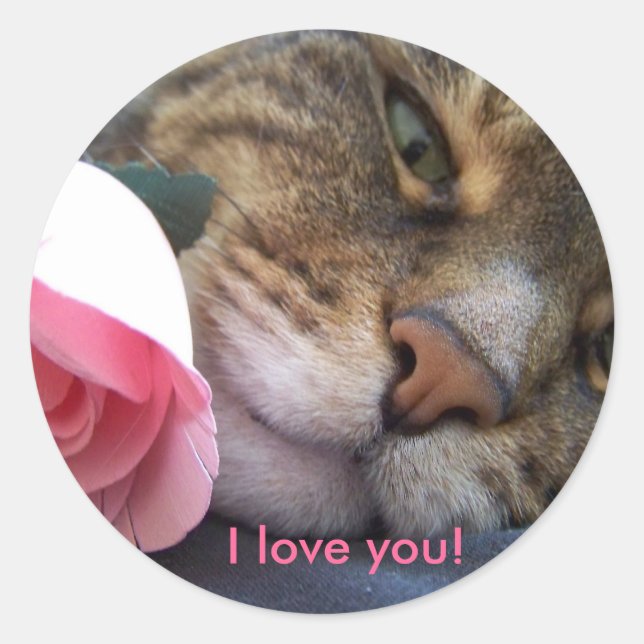 Rond Je T'Aime Chat Sticker (Devant)