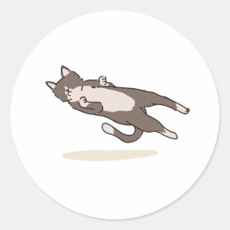 Rond Levitating Cat sticker