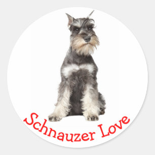 Rond Love Gray Schnauzer Puppy Dog Sticker