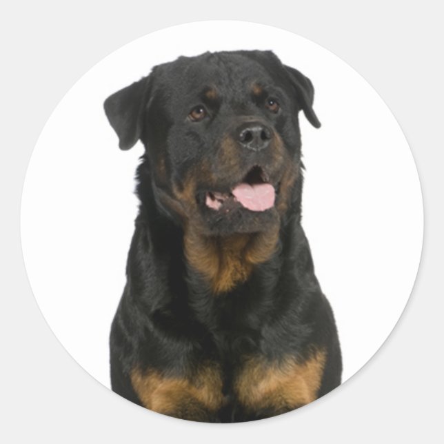 Rond Love Rottweiler Sticker Chien Chien Chien Chien /  (Devant)