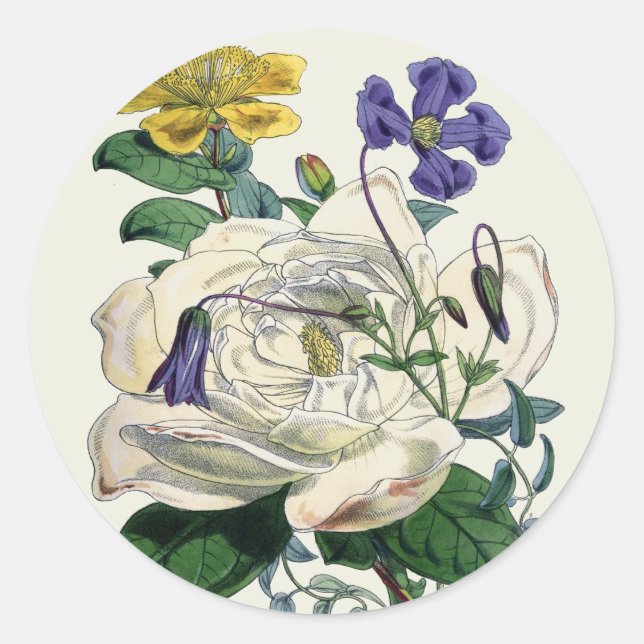 Rond Magnolia Botanique vintage Imprimer - Sticker (Devant)