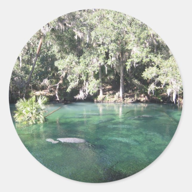 Rond Manatees at Blue Springs Sticker (Devant)