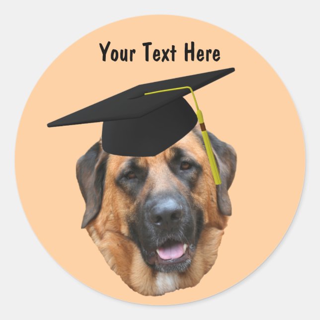 Rond Mastiff En Graduation Cap Funny Chien Sticker (Devant)