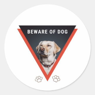 Rond Méfiez-vous du chien Sticker