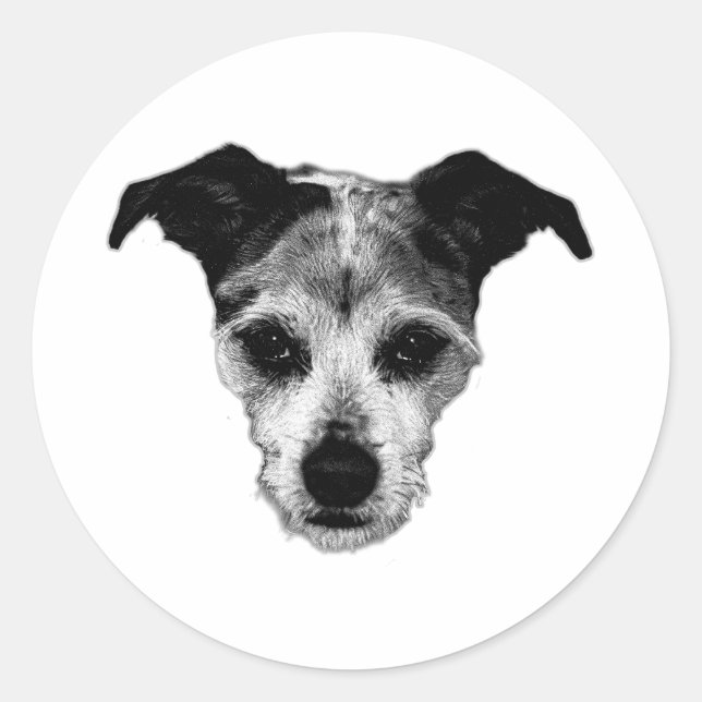 Rond Mélange Terrier Recherche Portrait Sticker (Devant)