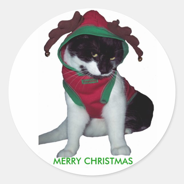 ROND MERRY CHRISTMAS CAT STICKER (Devant)
