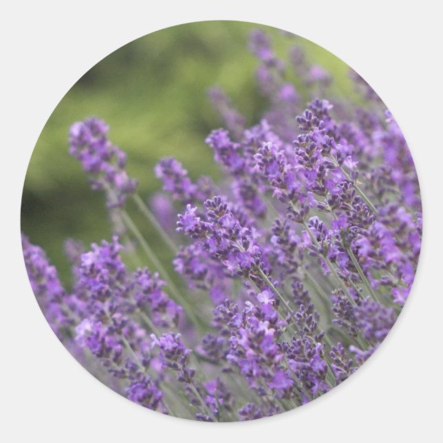 Rond Modèle Sticker de remplissage - Customisé (Devant)