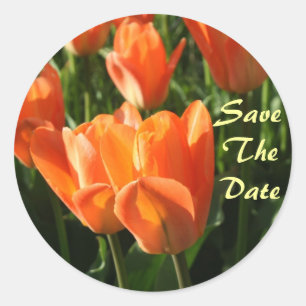 Rond Orange Tulips Enregistrer Le Sticker Mariage Date