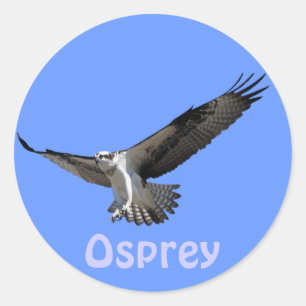 Rond Osprey Raptor Birdlover - Sticker pour la faune