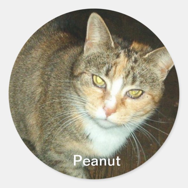 ROND PEANUT STICKER (Devant)