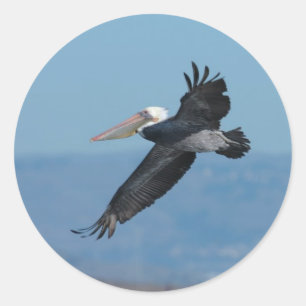 Rond Pélican 9 Sticker
