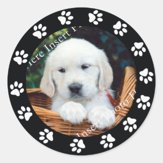 Rond Pet Chien Chien Empreinte de patte Frame Sticker  