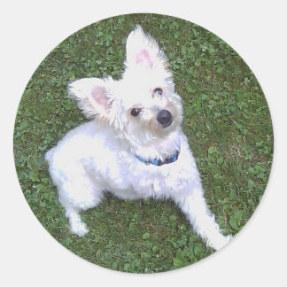 Rond Petey Le Sticker Pom-A-Poo