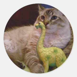 Rond photo de chat et dinosaure 1 Sticker