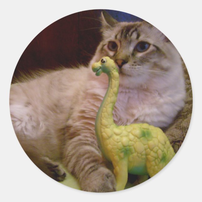 Rond photo de chat et dinosaure 1 Sticker (Devant)