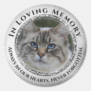 Rond Photo Love Memory Chat / Sticker pour animaux de c