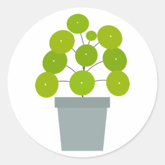 Rond Pilea peperomioides en pot plante verte Sticker