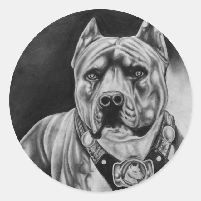 ROND PITBULL STICKER ROUND PKG DE 20 (Devant)