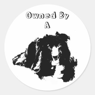 Rond Propriété D'Un Collie Bordure Drôle Sticker Chien