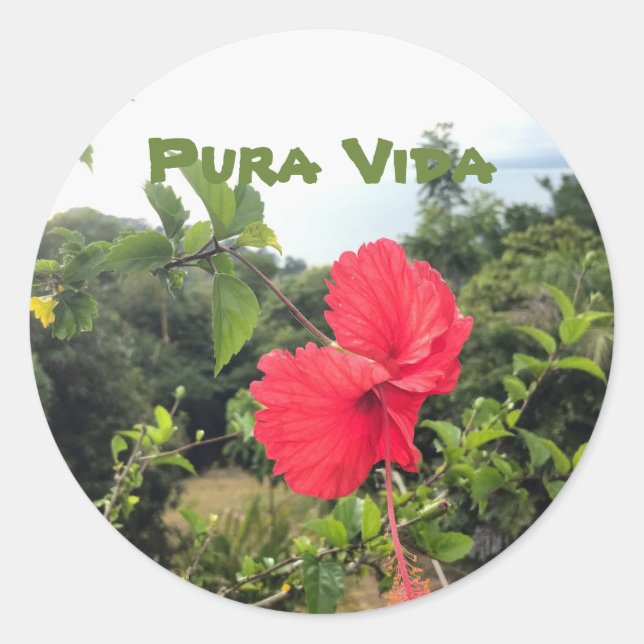 Rond Pura Vida avec Sticker Hibiscus (Devant)