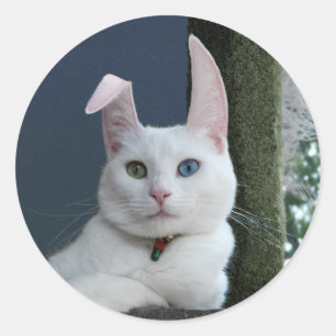 Rond Sérénité en tant que sticker Bunny